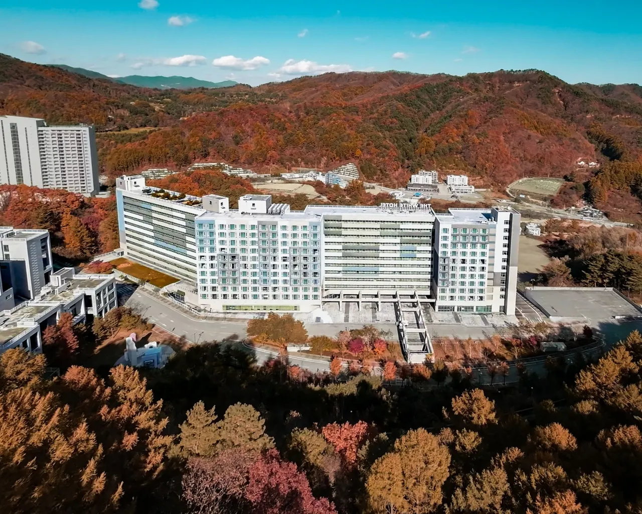 대표 사진