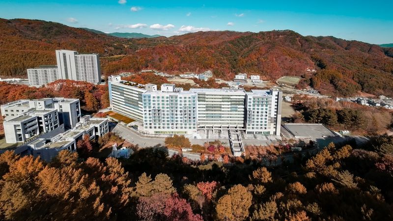 대표사진