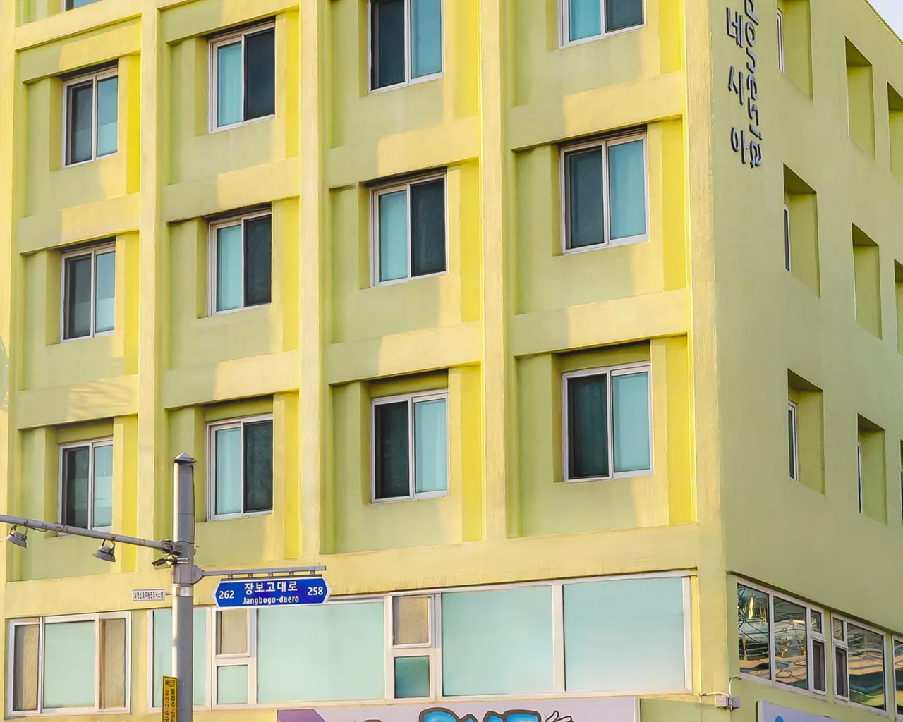 대표 사진