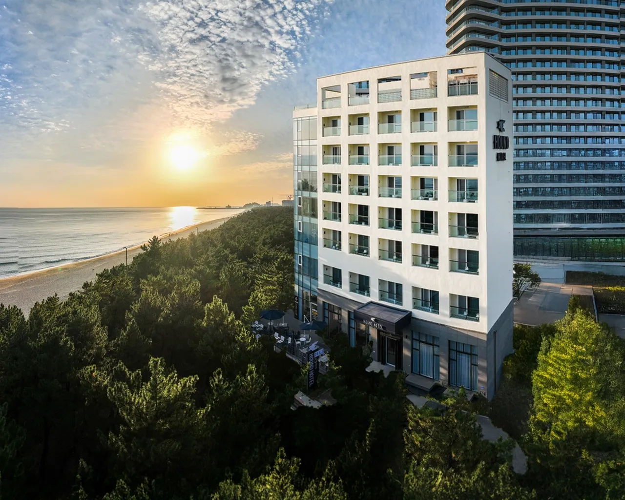 대표 사진