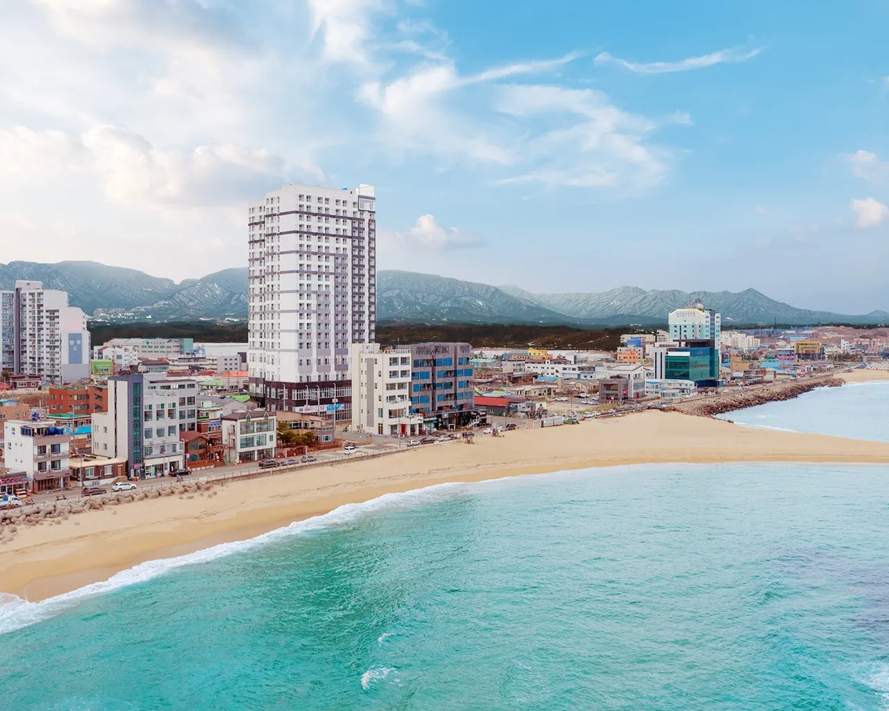 대표 사진