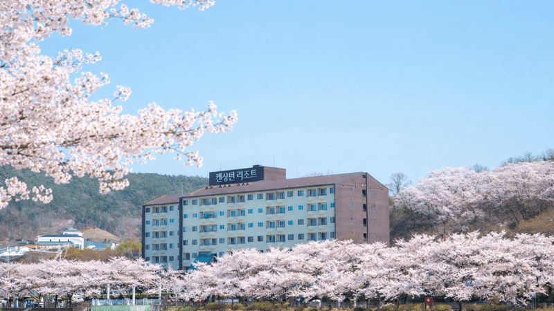 기타