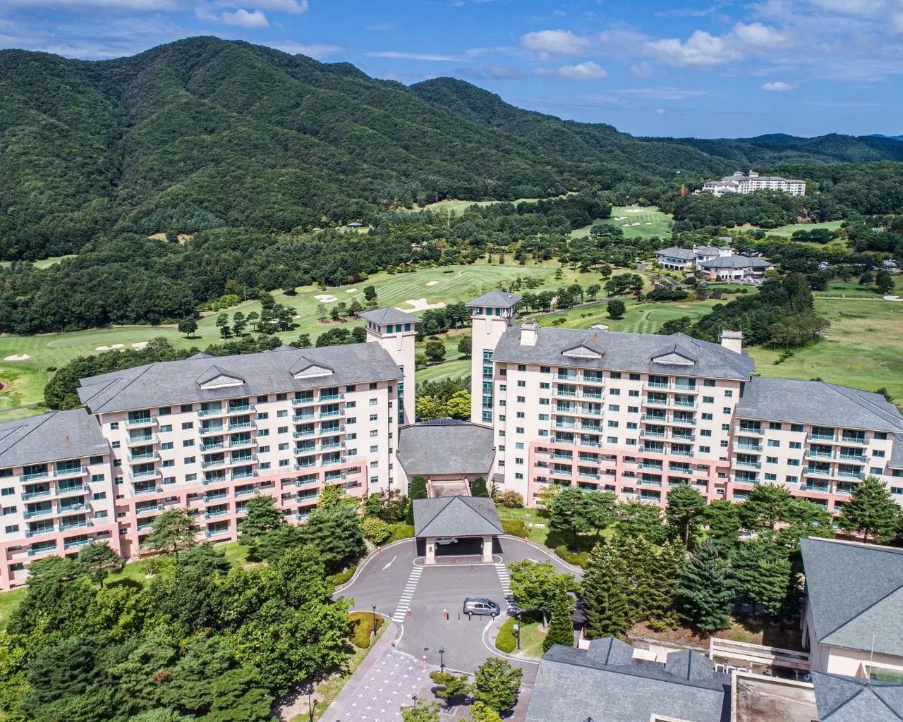 대표 사진