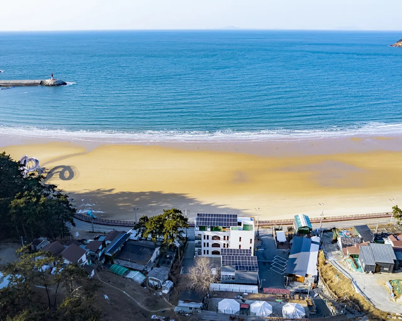 대표 사진