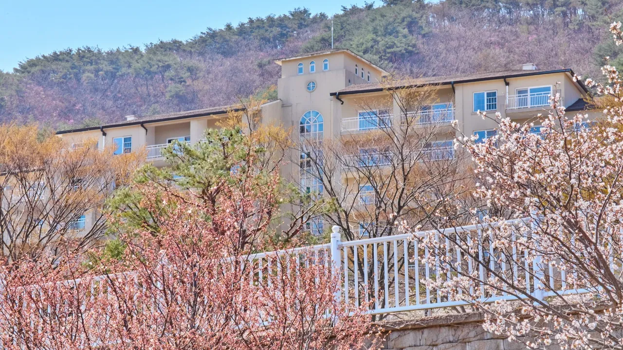 경주 마우나오션리조트 사진