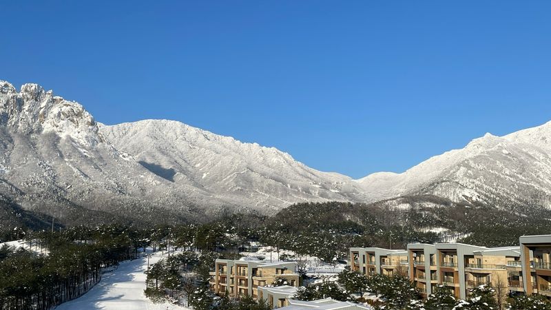 전경