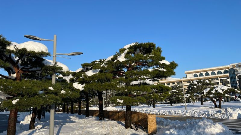 전경