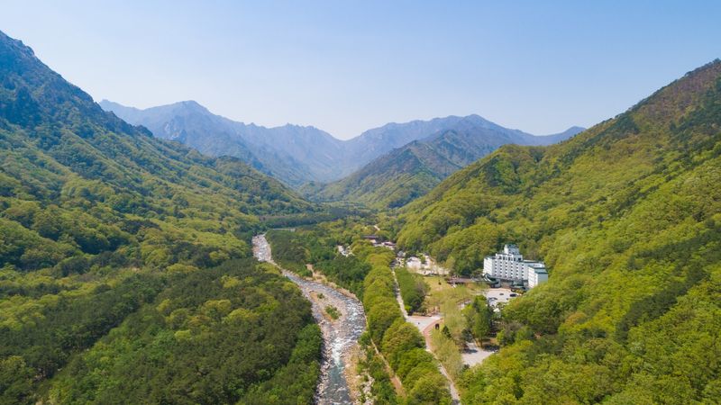 대표사진