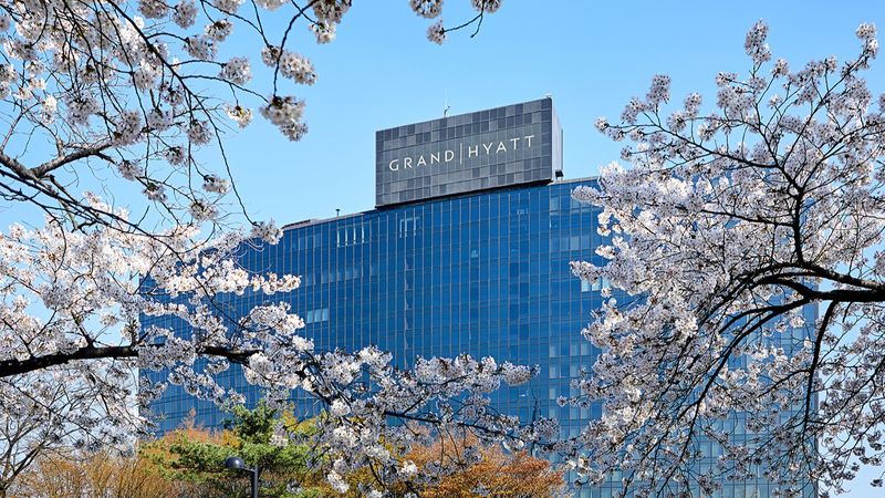 대표사진