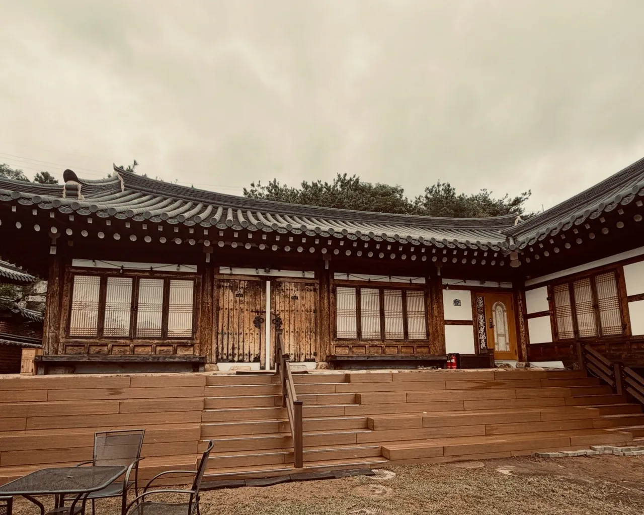 대표 사진