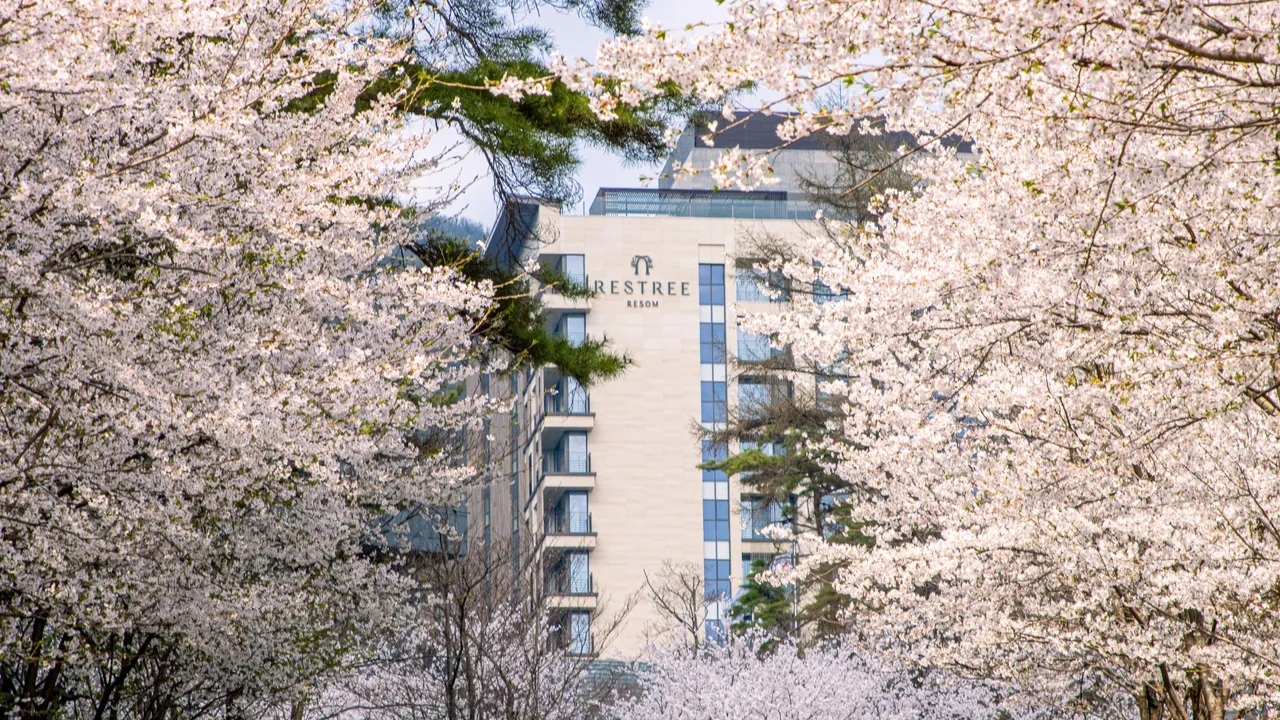 포레스트 리솜 & 레스트리 사진