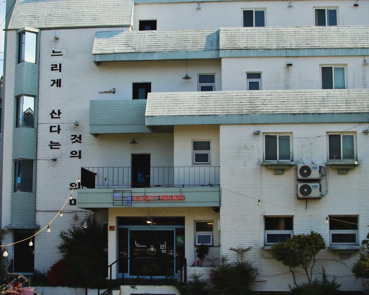 대표 사진
