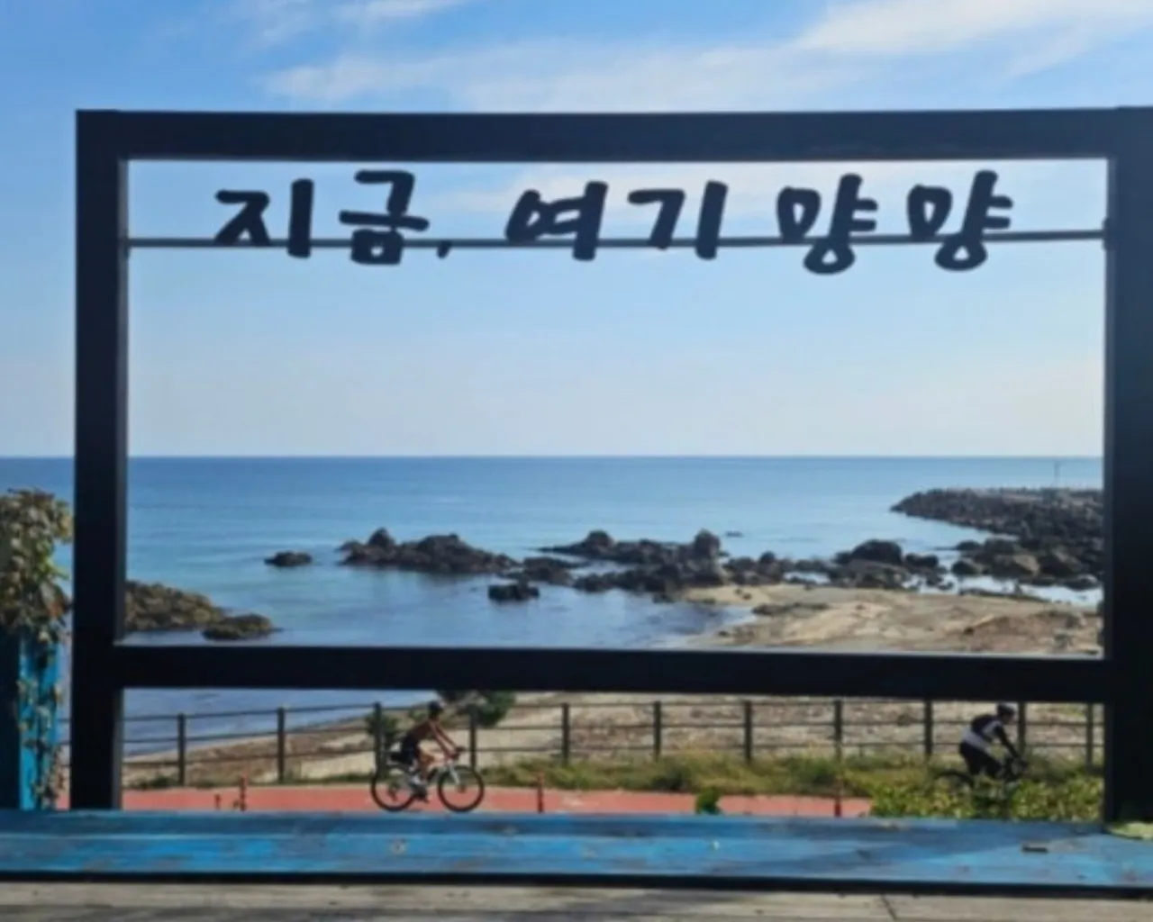 대표 사진