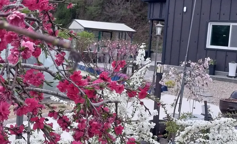 고성 산내온