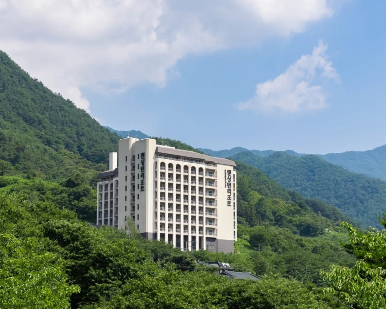 대표 사진