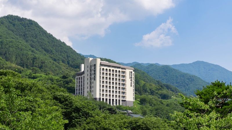 대표사진