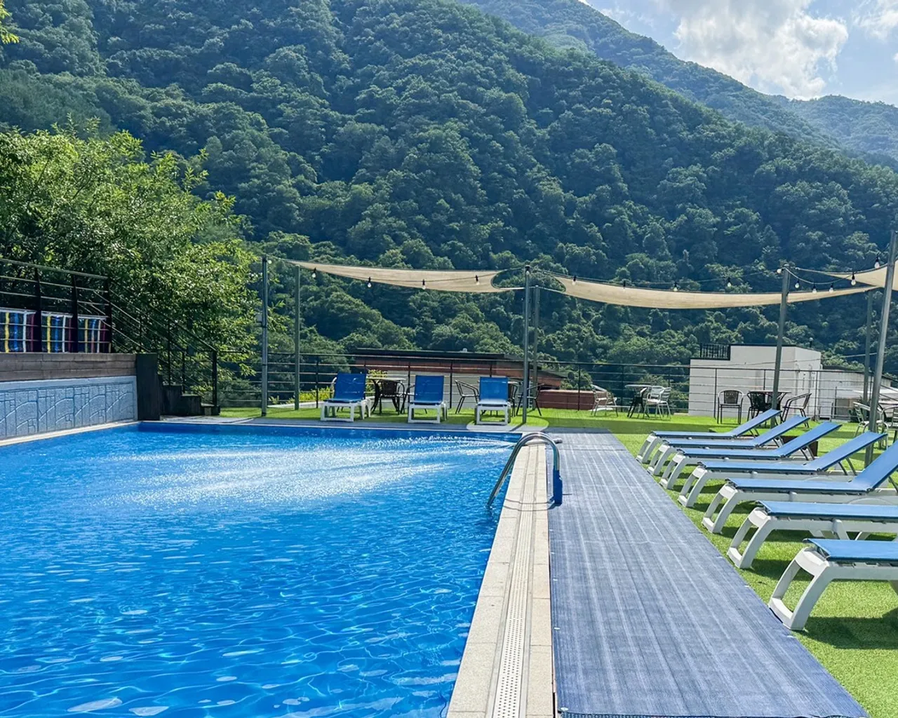 대표 사진