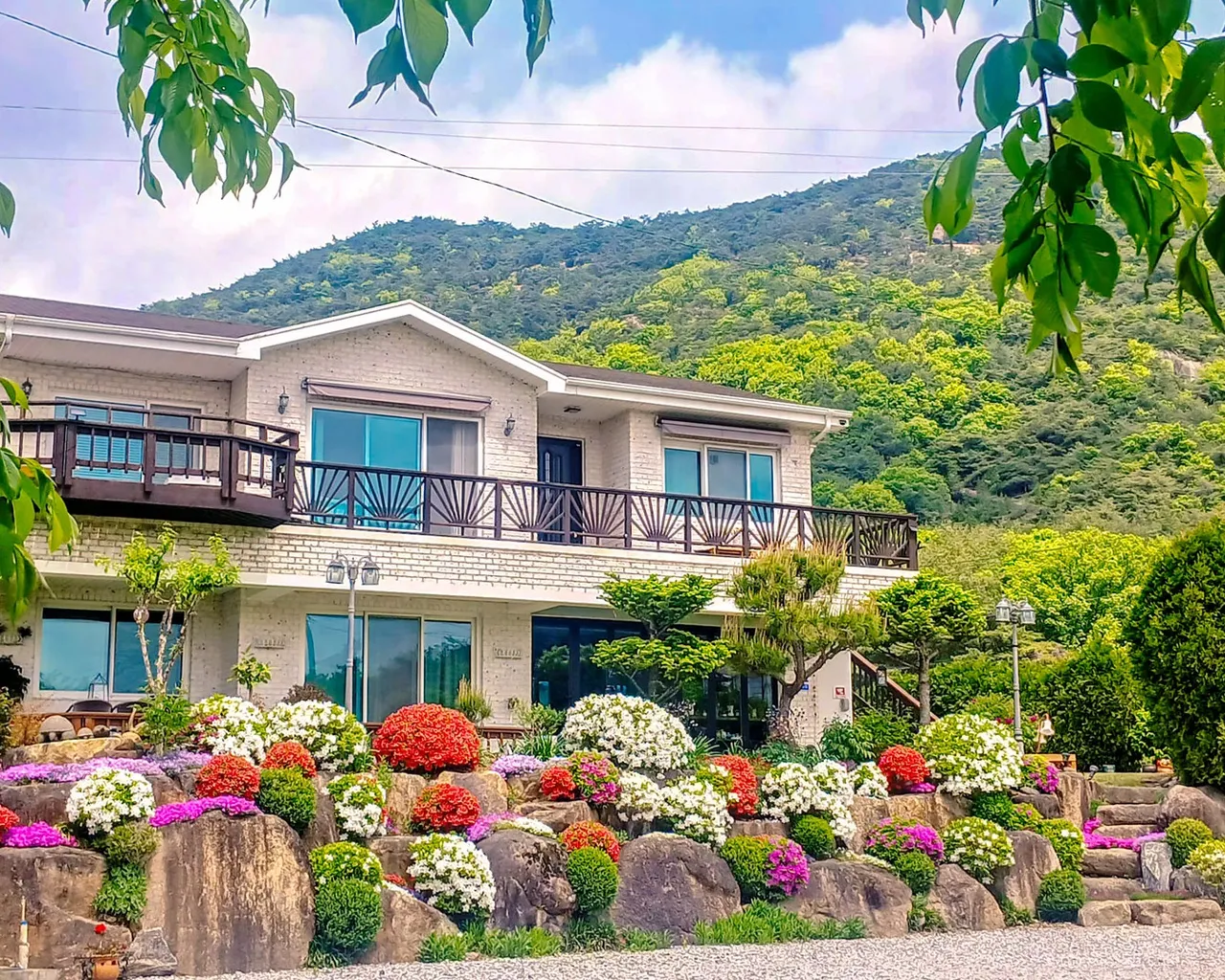 대표 사진