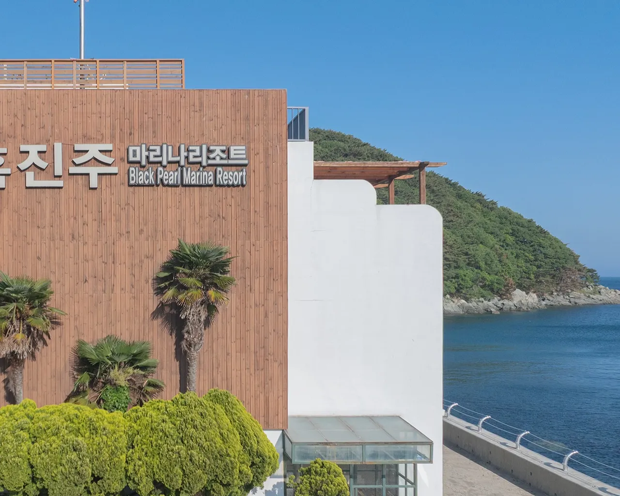 대표 사진