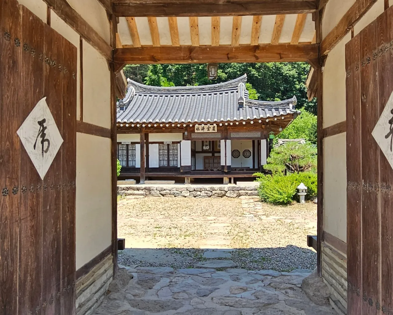 대표 사진