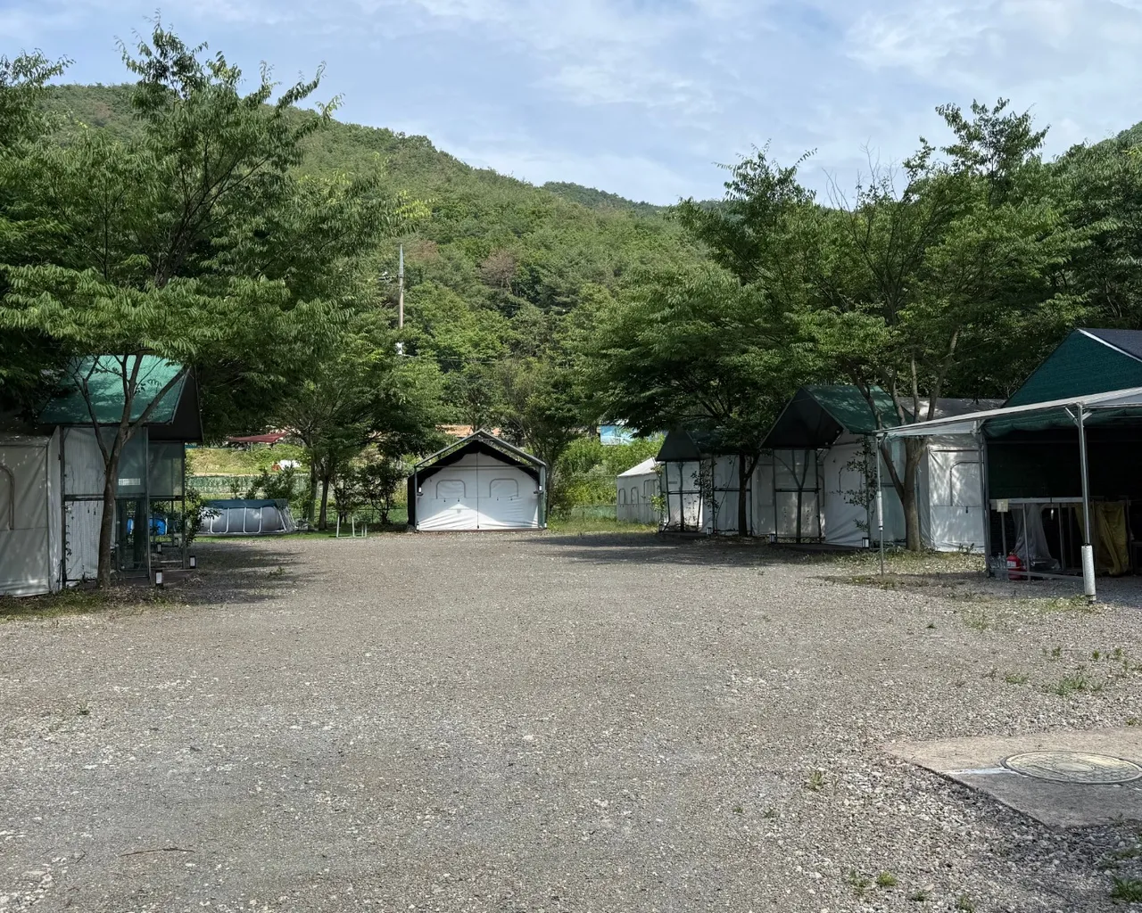 대표 사진
