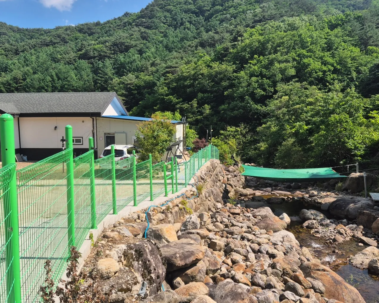 대표 사진