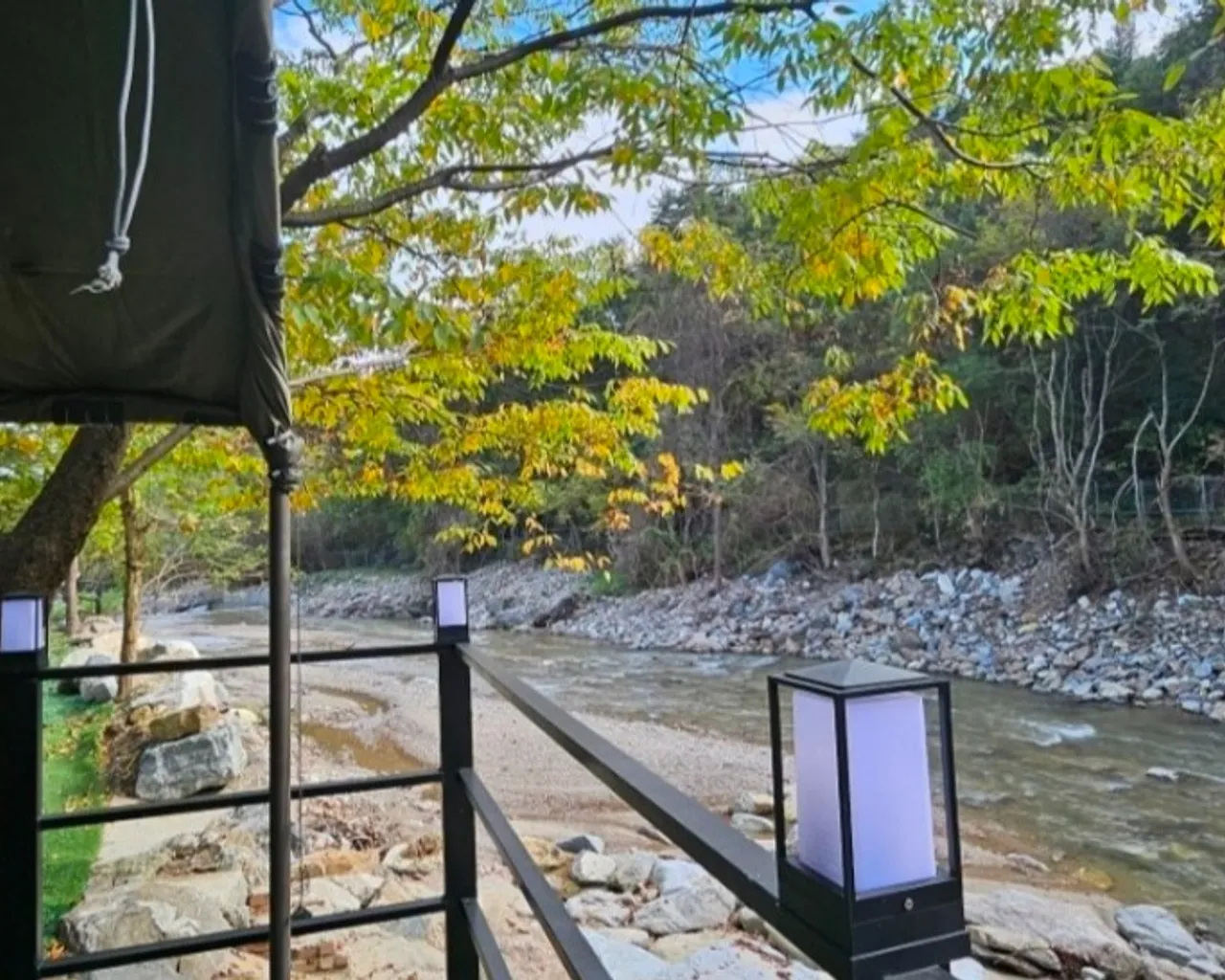 대표 사진
