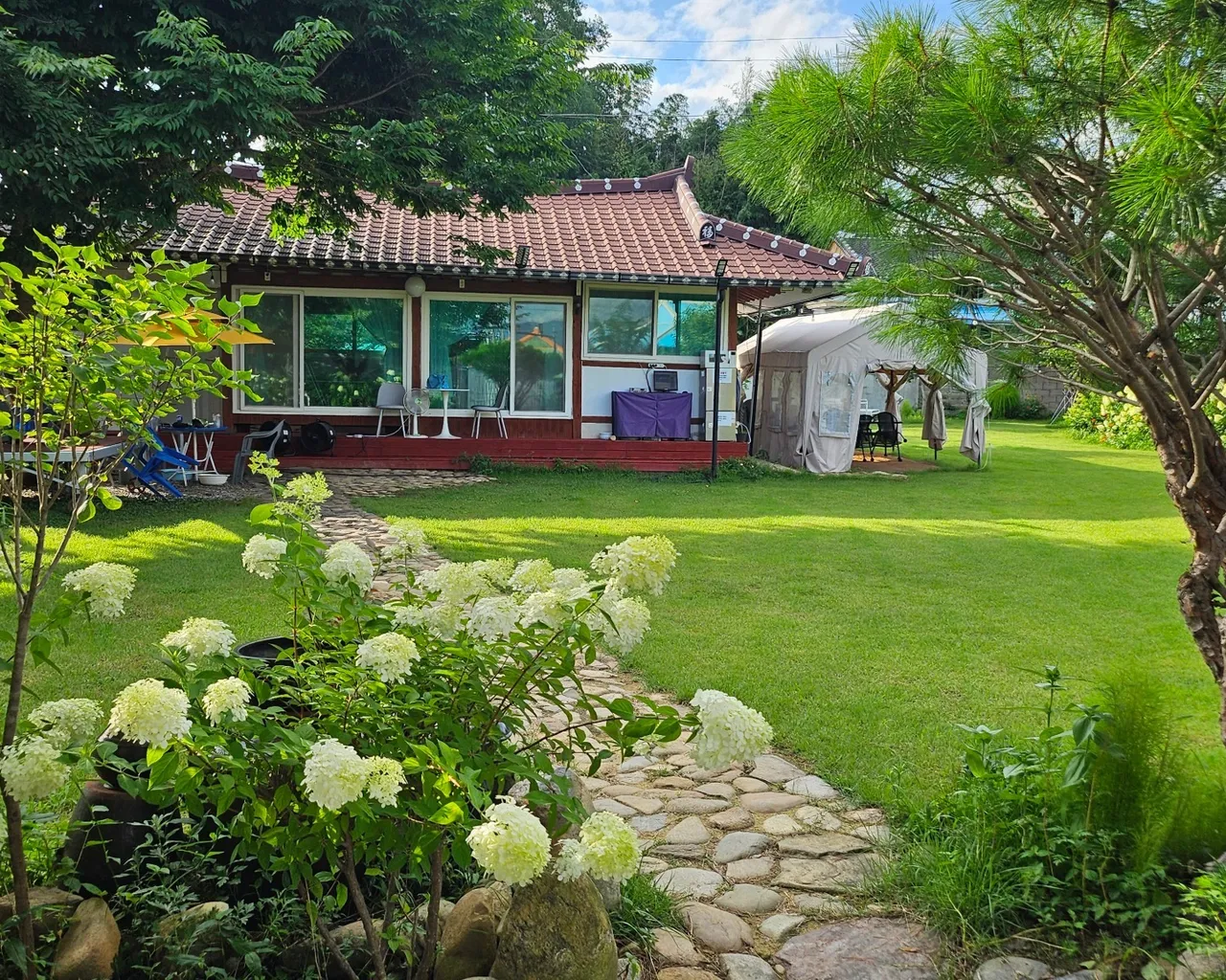 대표 사진