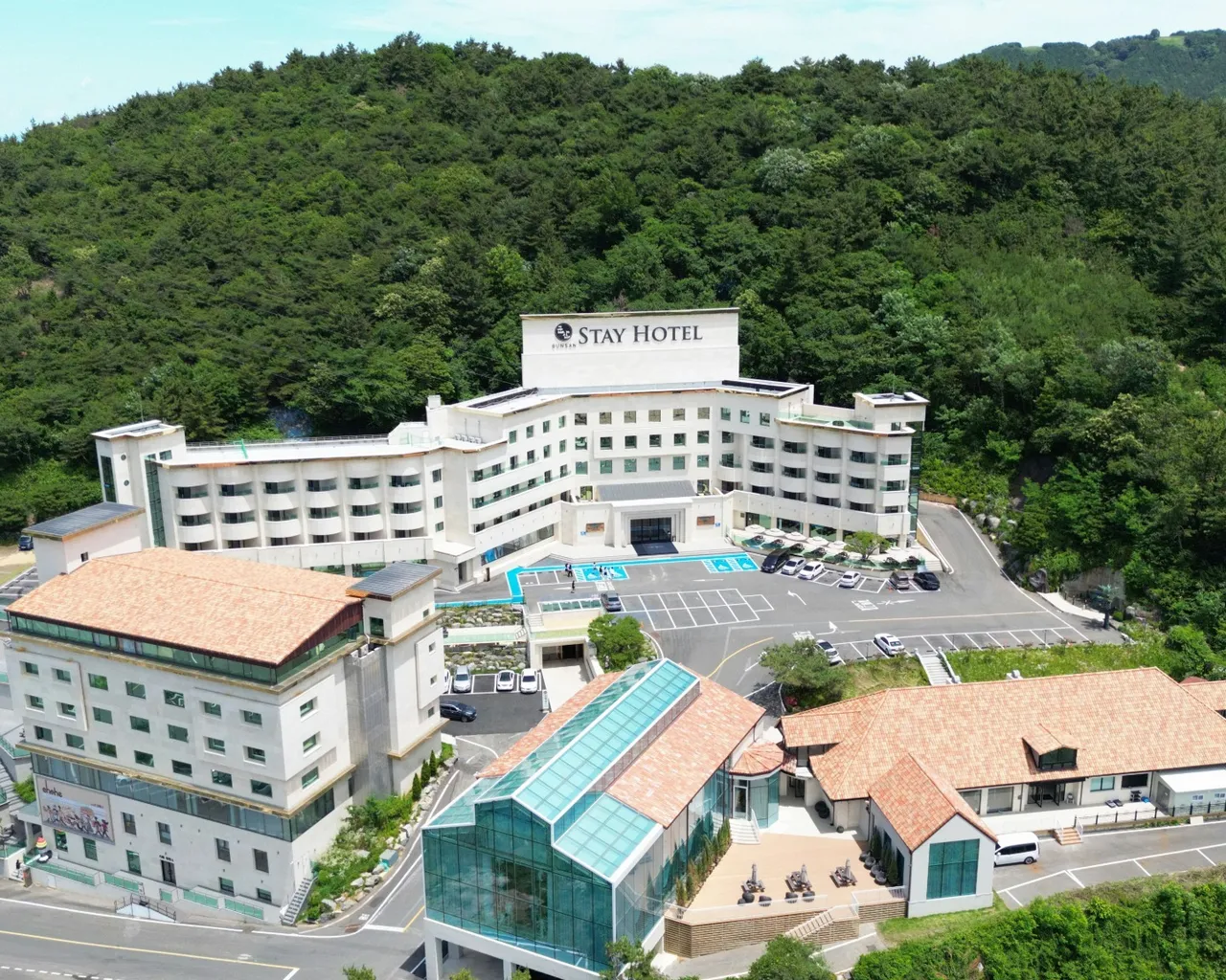 대표 사진