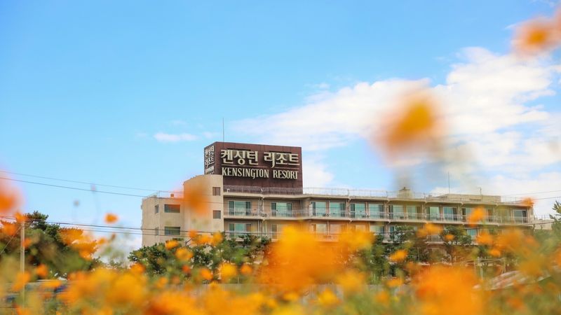 기타