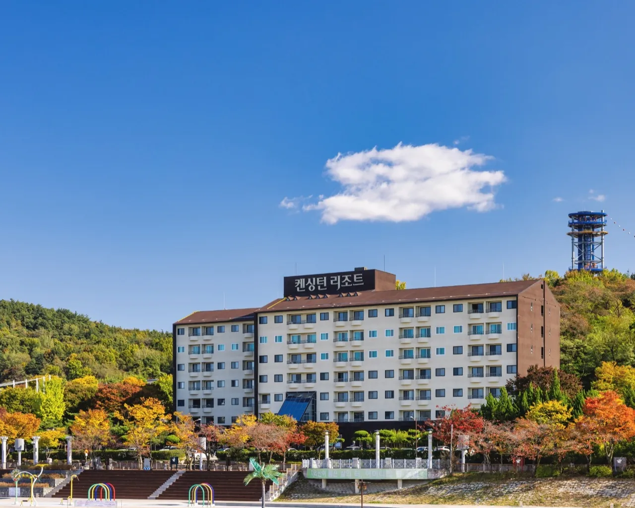 대표 사진