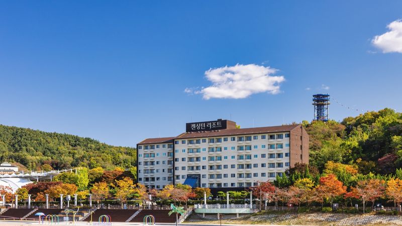 대표사진