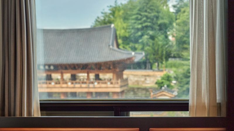 기타
