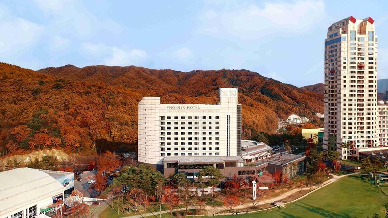 대표사진
