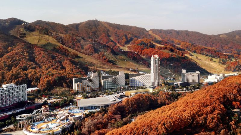 기타