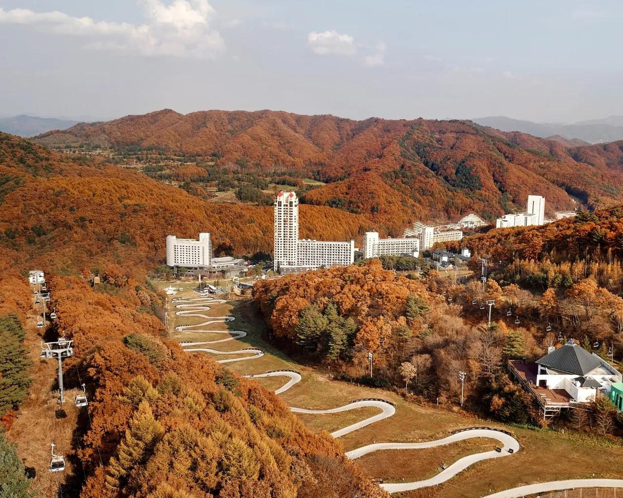 대표 사진