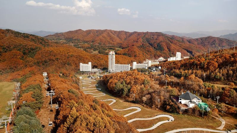 대표사진