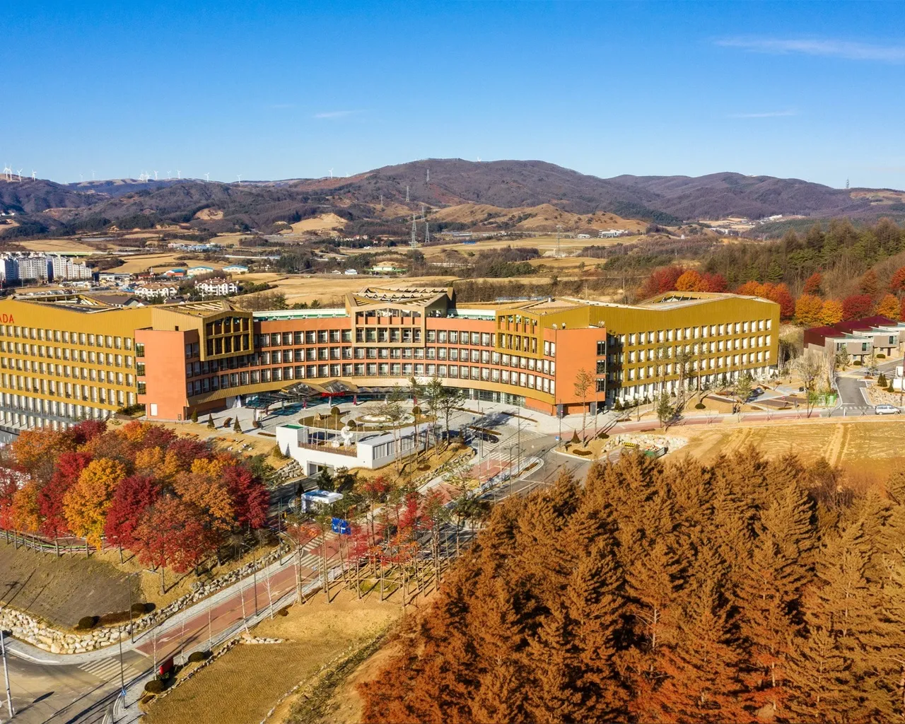 대표 사진