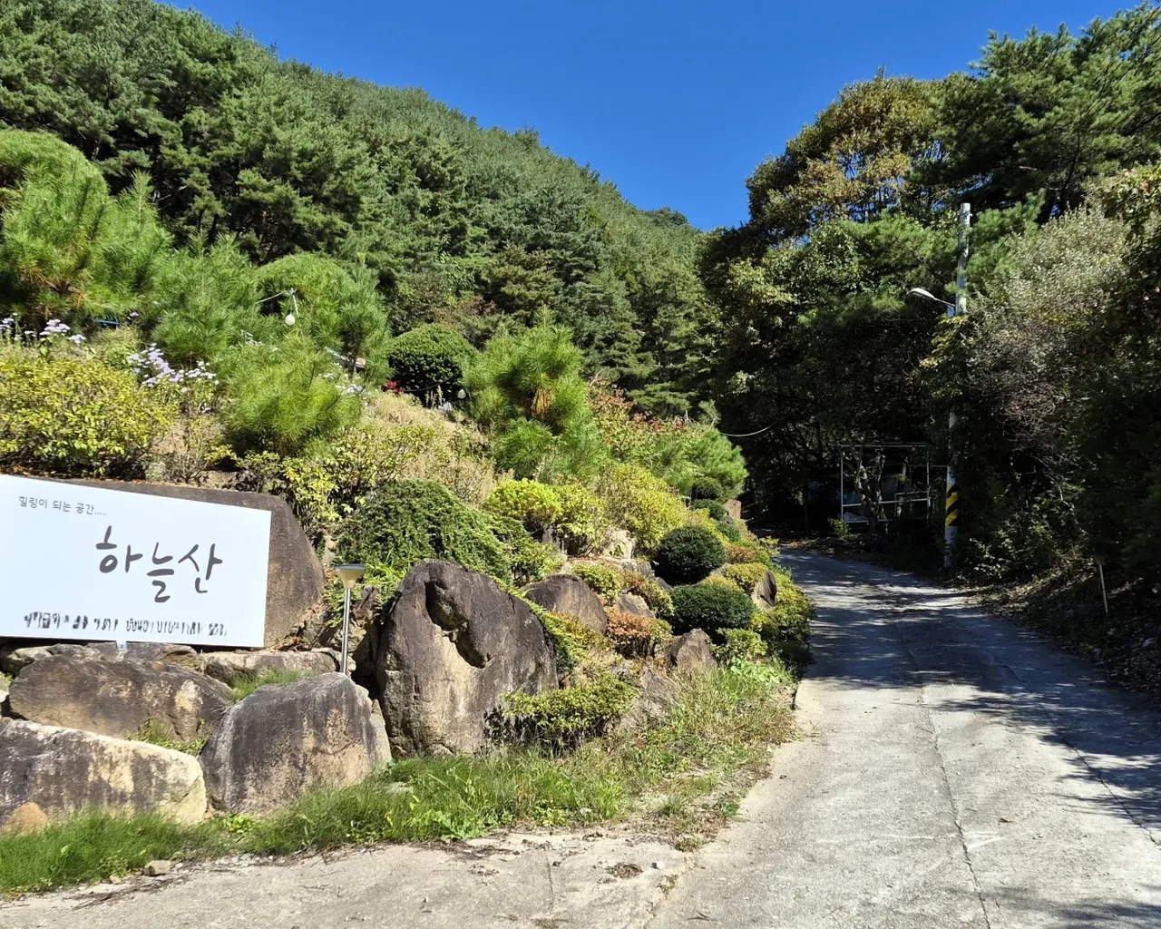 대표 사진