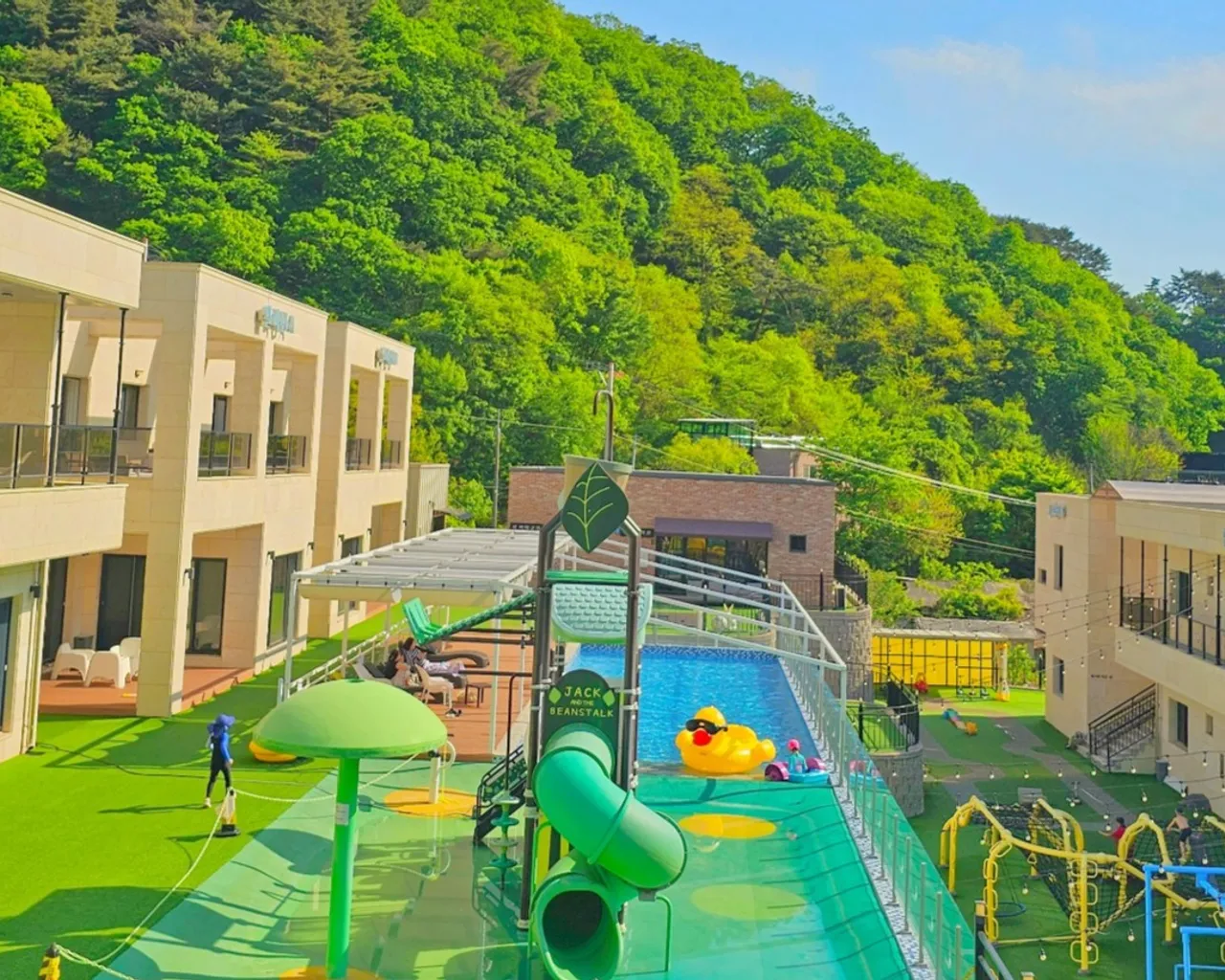 대표 사진