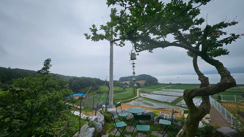 기타
