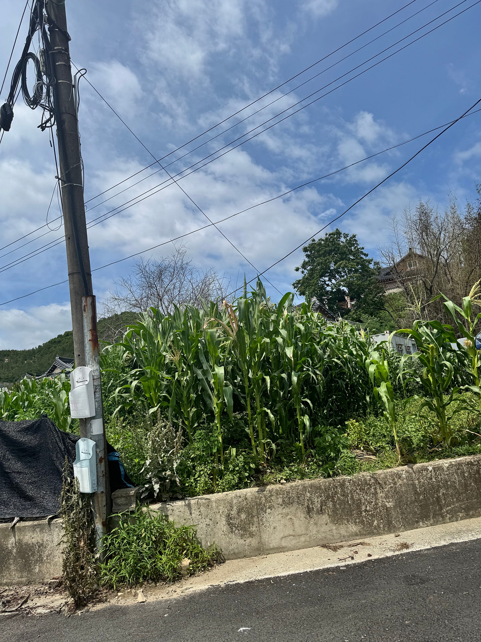 왕보가족 "경주"여행일기 :) 3일차 _ 황리단길에서 놀아요./ 경주황리단길/ 경주교동순두부/ 발명인공지능교육원 (무료주차)