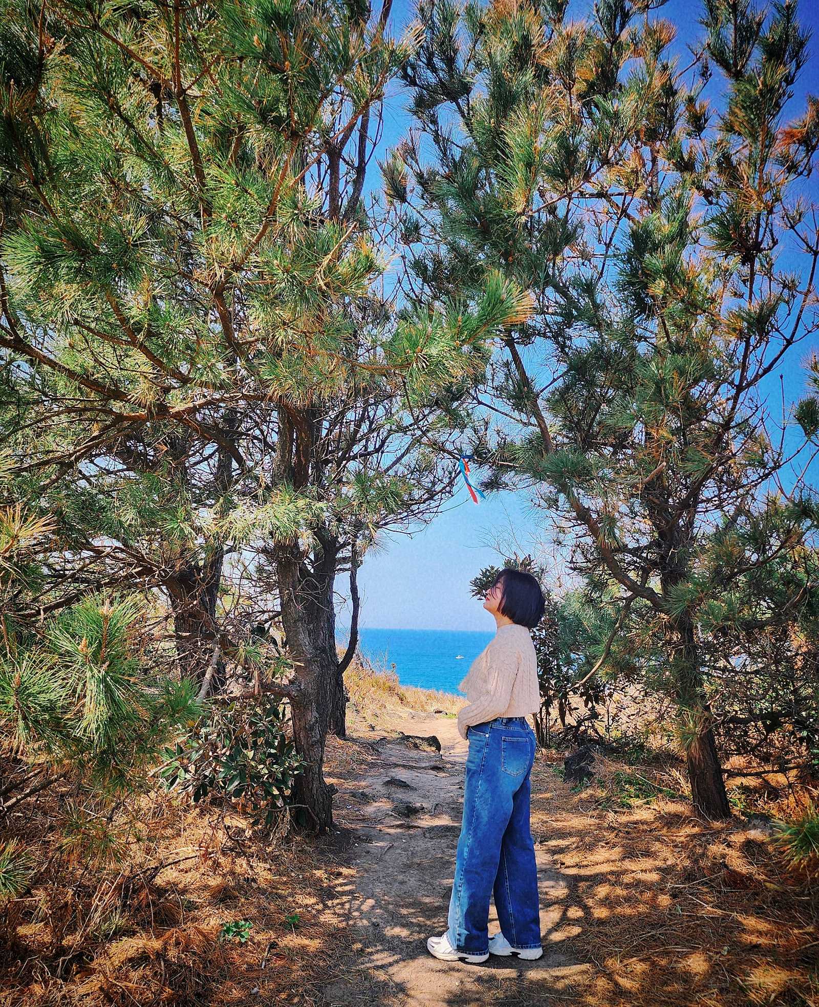 제주 겔랑 풀빌라, 프라이빗 수영장이 있는 제주도 숙소 2박 3일 맛집 여행기 대표 이미지