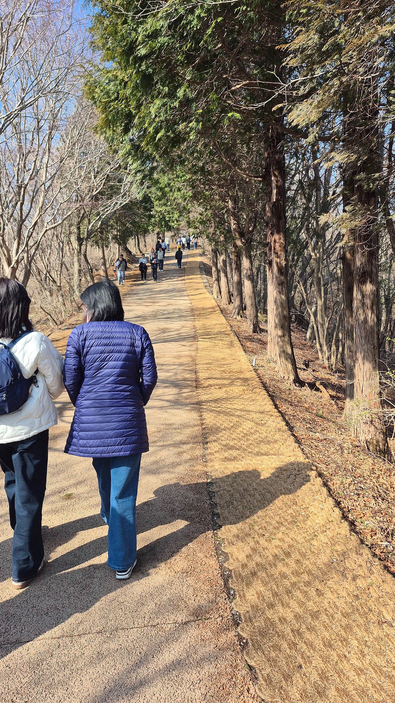30대 남자 셋이서 급 떠난 남해 1박 2일 여행 일기