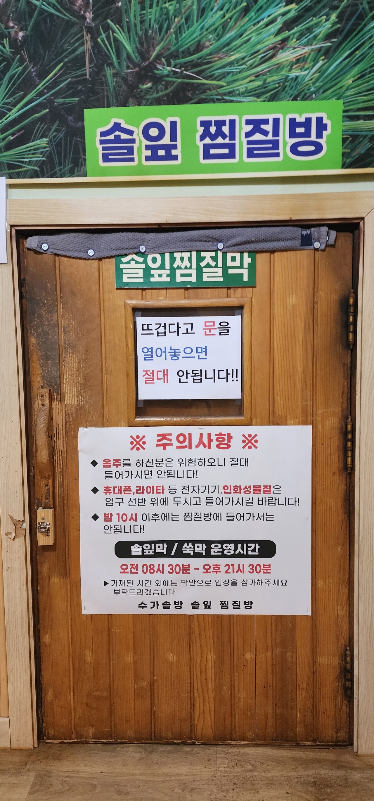6월의 은하수, 샤스타 데이지를 만난 평창 육백마지기 여행.