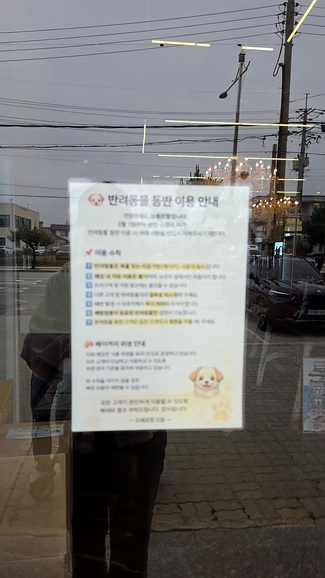 강아지랑 바다멍~숙소, 맛집 정보 드려요
