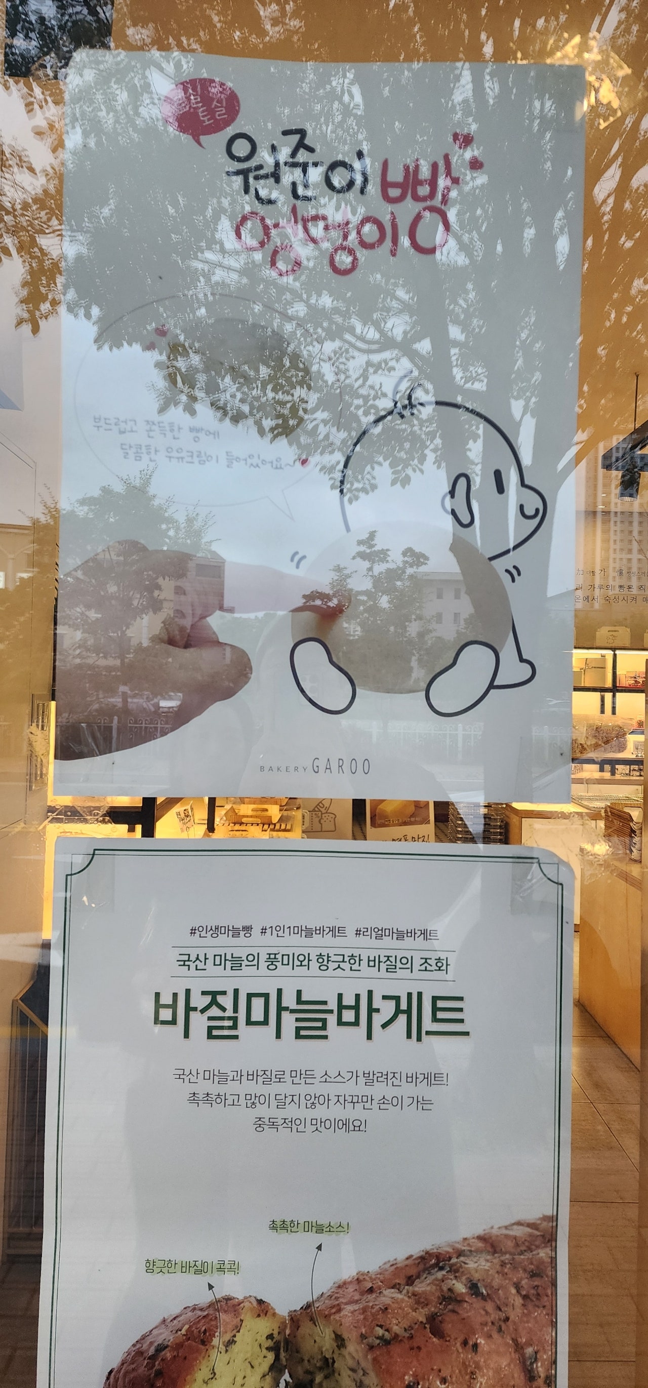 속초 토박이처럼 즐기는 속초 여행.