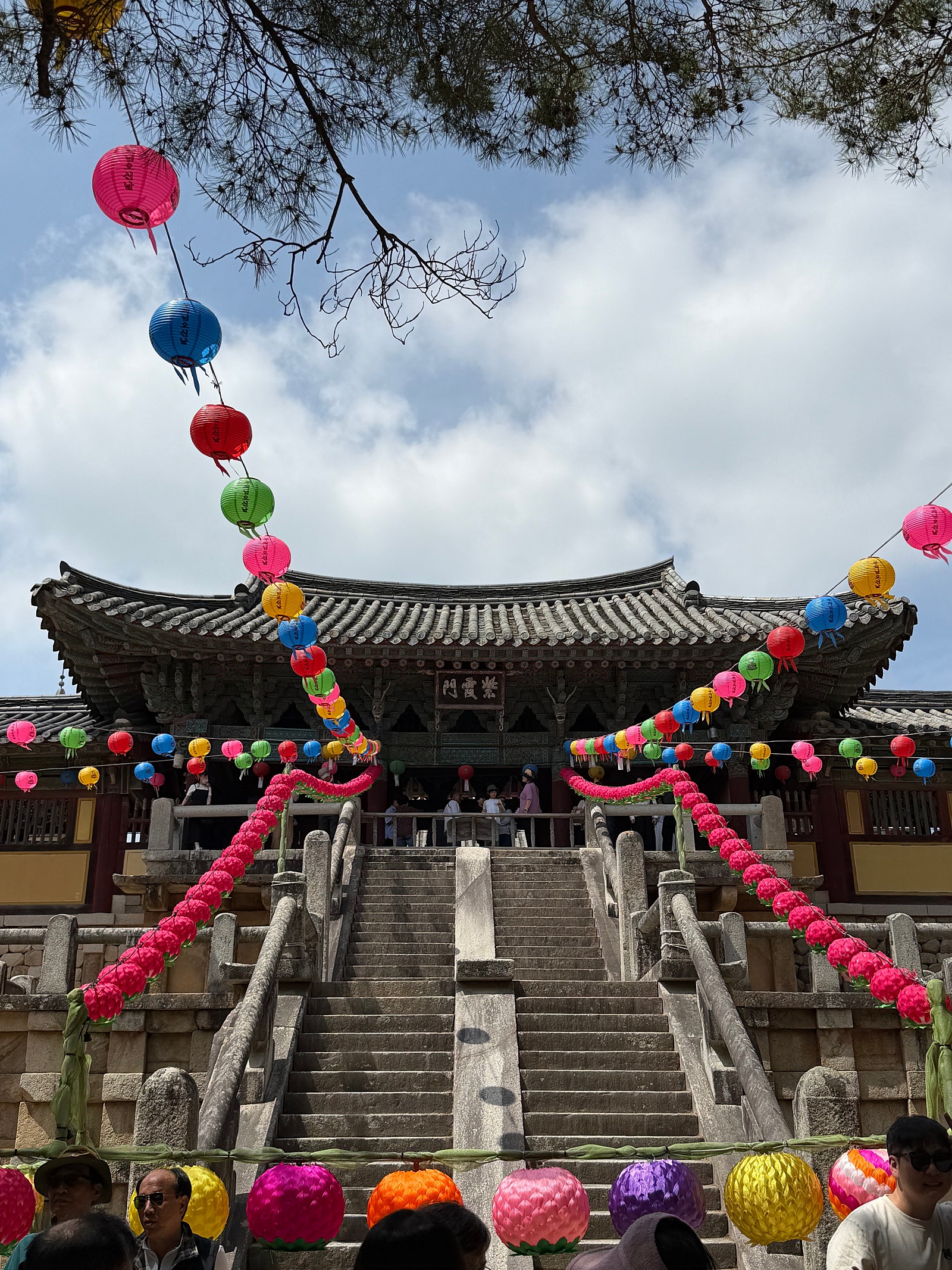 정감있는 가성비 경주 펜션🌻 [경주 프린세스 펜션] 2박 후기