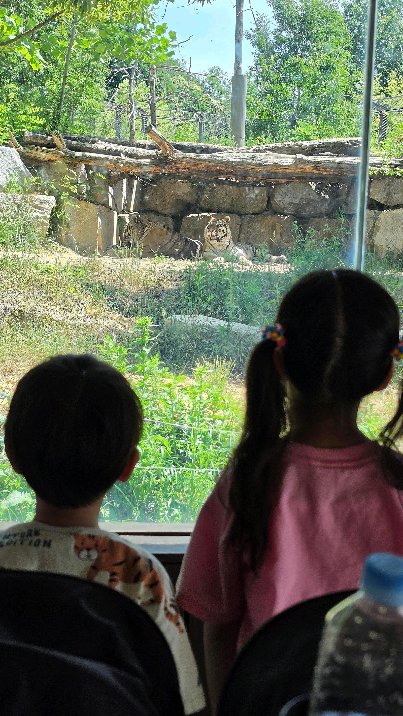 🏯[국내여행] [전주] 라한호텔 - 아이와 함께 전주 1박2일 뿌시기!