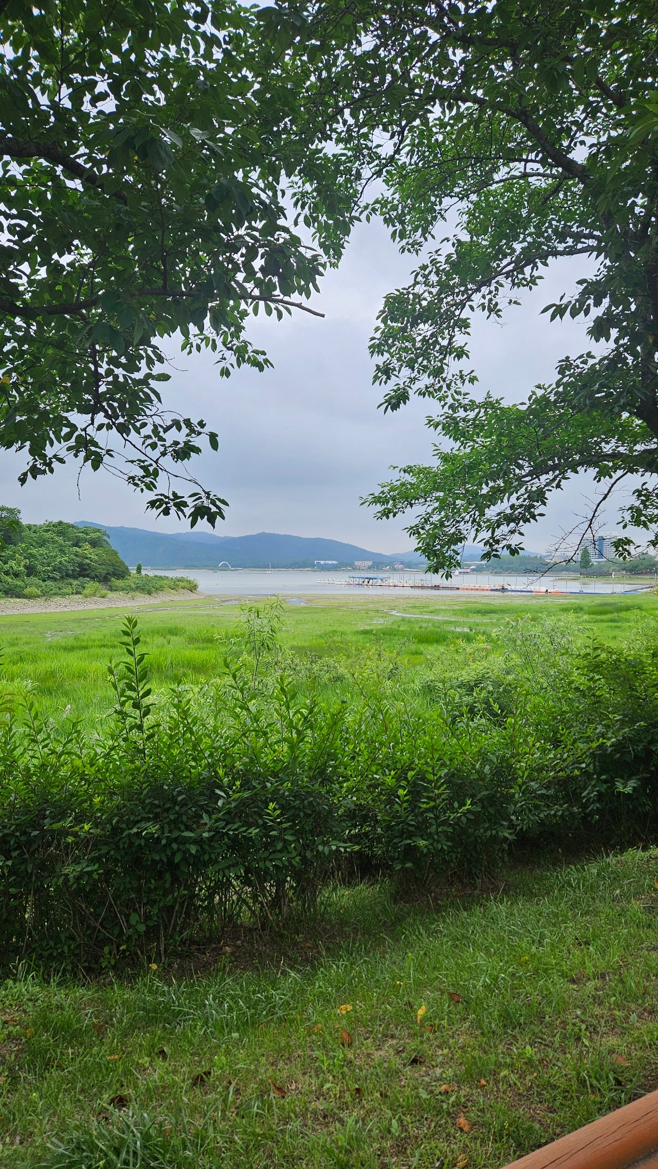 경주 힐튼 아이랑 호캉스 후기(수영장, 조식, 안녕경주야)